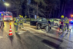 Feuerwehr Stockstadt a. Main einsatz 2024-244