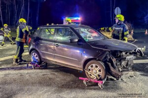 Feuerwehr Stockstadt a. Main einsatz 2024-244