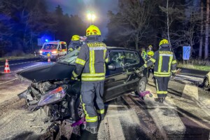 Feuerwehr Stockstadt a. Main einsatz 2024-244