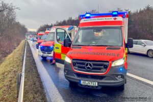 Feuerwehr Stockstadt am Main - Einsatz 2025-0239