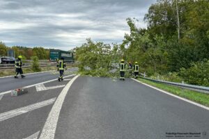 Freiwillige Feuerwehr Stockstadt a. Main