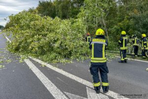 Freiwillige Feuerwehr Stockstadt a. Main
