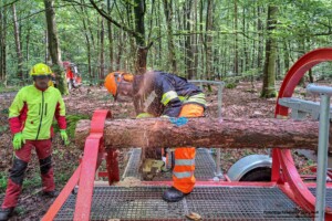 Feuerwehr Stockstadt a. Main