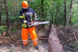 Feuerwehr Stockstadt a. Main