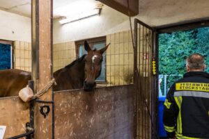 Freiwillige Feuerwehr Stockstadt a. Main - Begehung Reiterhof Jägerhof