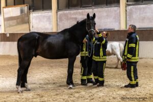 Freiwillige Feuerwehr Stockstadt a. Main - Begehung Reiterhof Jägerhof