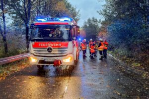 Freiwillige Feuerwehr Stockstadt a. Main