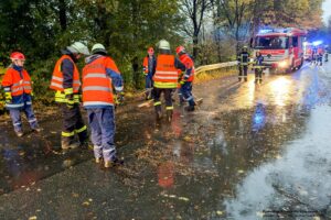Freiwillige Feuerwehr Stockstadt a. Main
