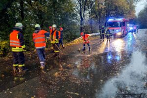 Freiwillige Feuerwehr Stockstadt a. Main