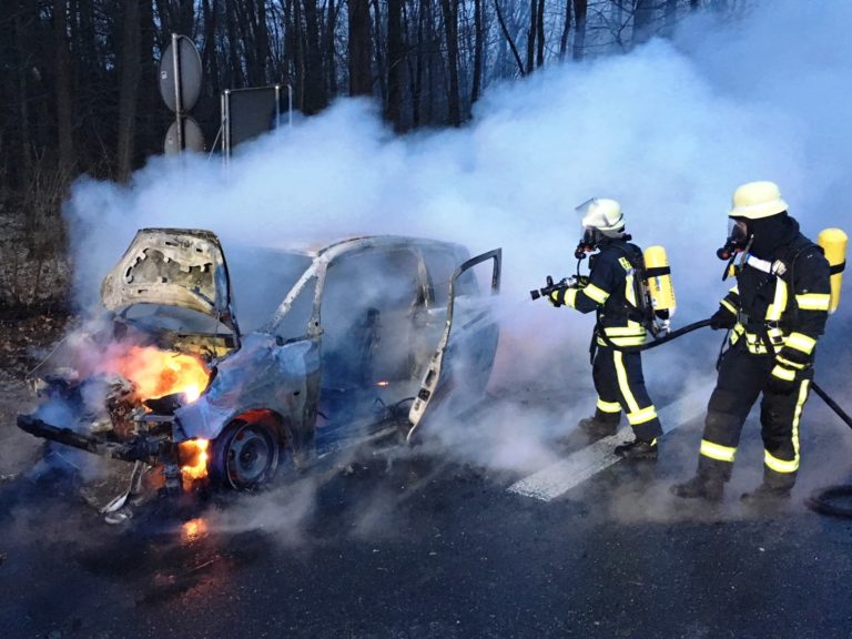 2018-03-15-Einsatz 049 (2)